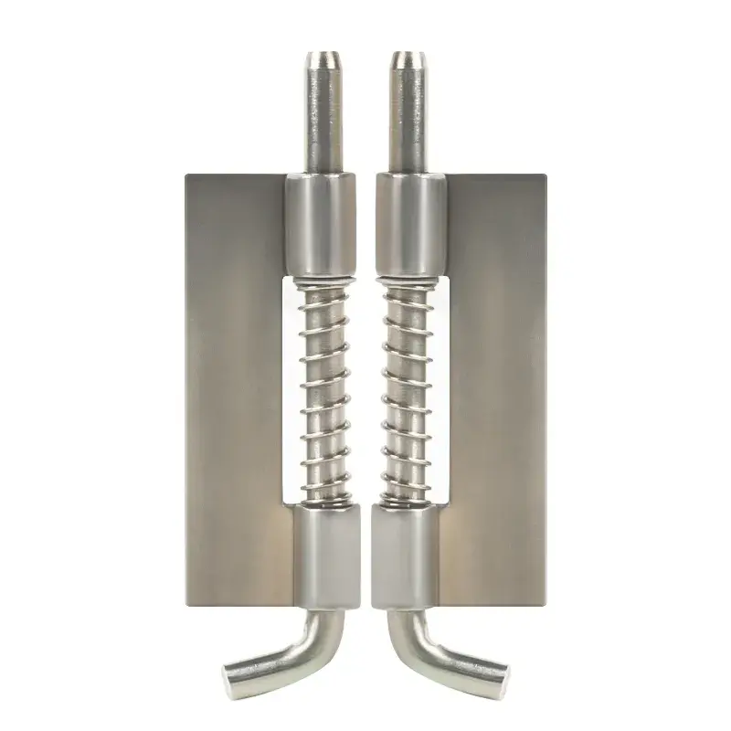 Západní závěs jarních šroubů Západní závěs jarních šroubů